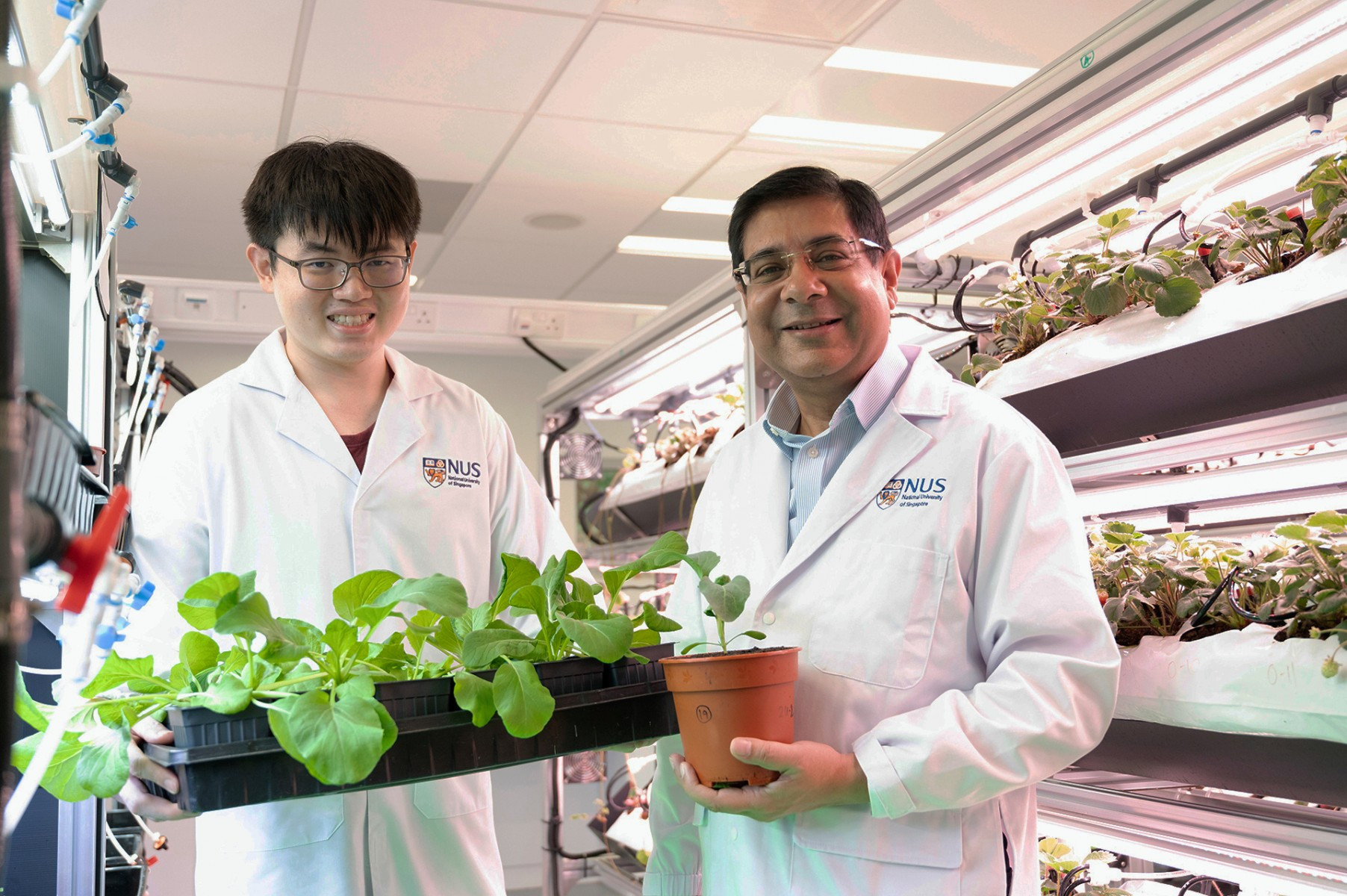 NERI and L'Oréal Singapore Collaborate for Greener Crop Cultivation