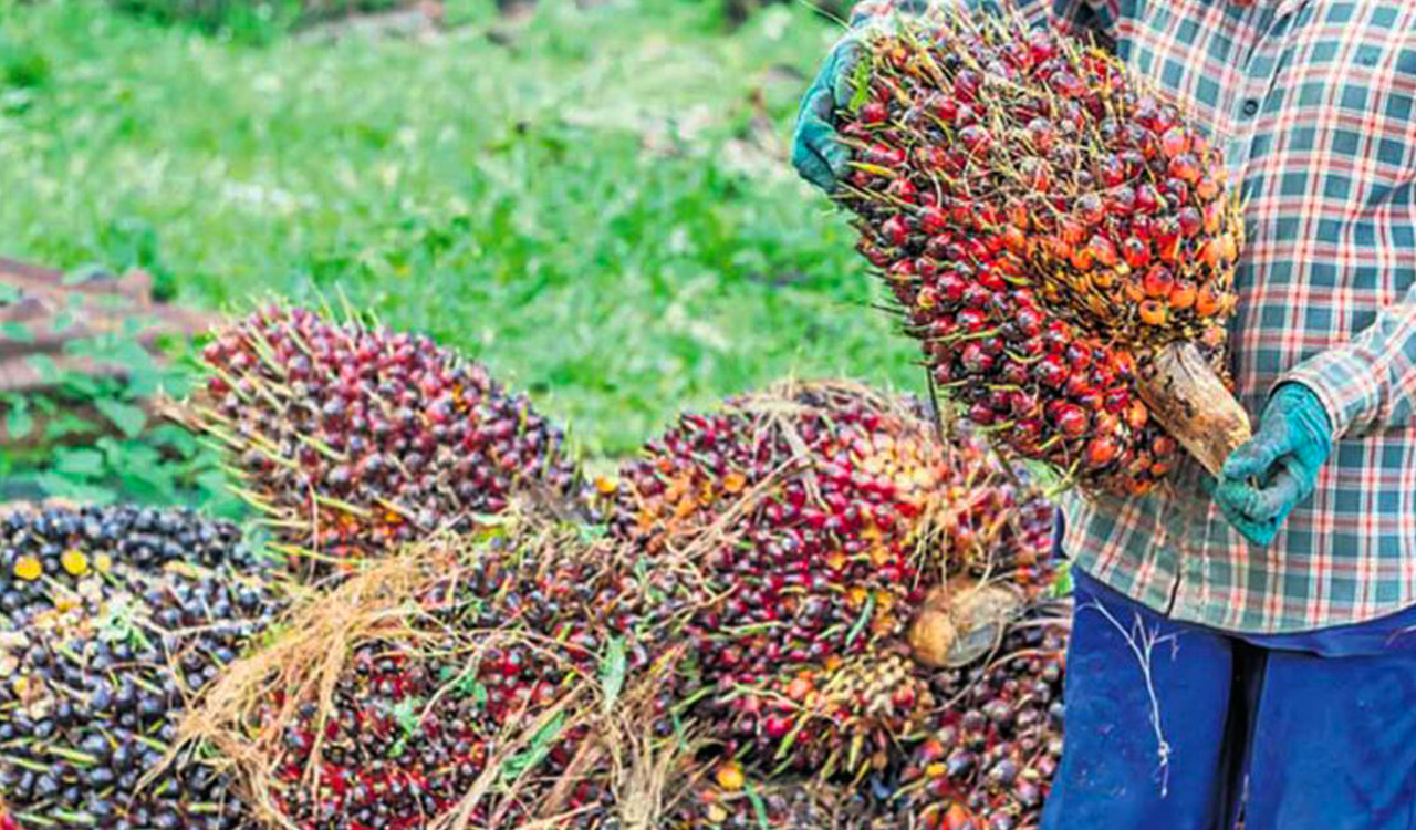 Hindustan Unilever Reduces Palm Oil Consumption with Stratos Innovation