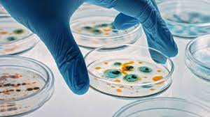 L’Oréal Unveils Breakthrough in Anti-Aging Skincare with Crystallized Live Probiotics L’Oréal Unveils Breakthrough in Anti-Aging Skincare with Crystallized Live Probiotics