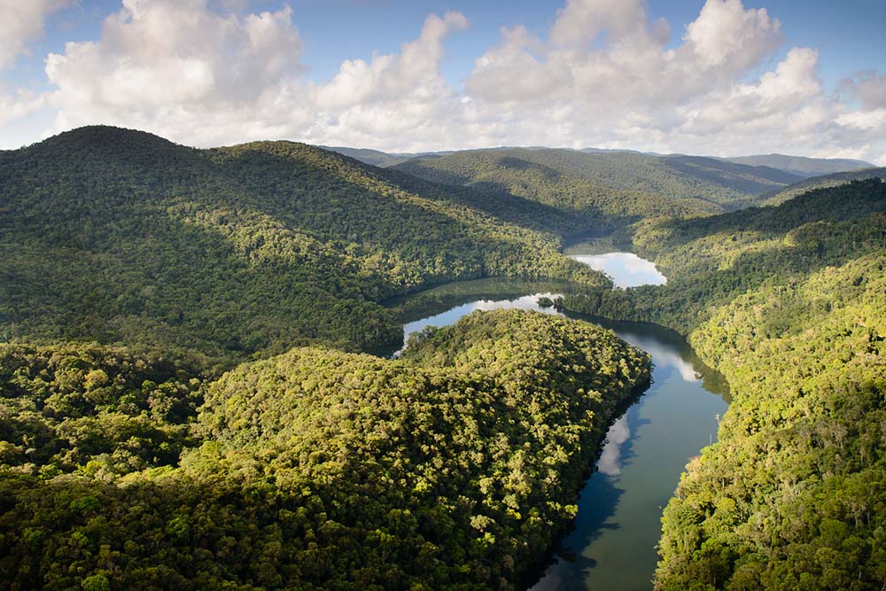 IFF and Reservas Votorantim announce bioprospecting partnership in Brazil’s Atlantic Forest for sustainable fragrance innovation