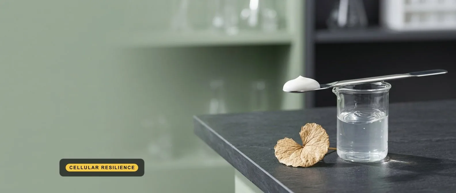 Bioadaptive Longevity: How Indian D2C Beauty Is Ditching Retro Anti-Aging for Cellular Resilience