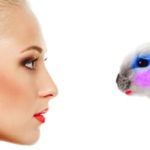 Australia bans using animal testing data for cosmetics