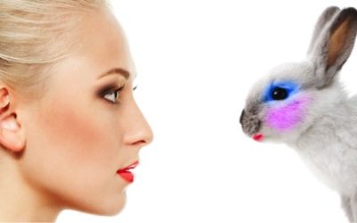 Australia bans using animal testing data for cosmetics