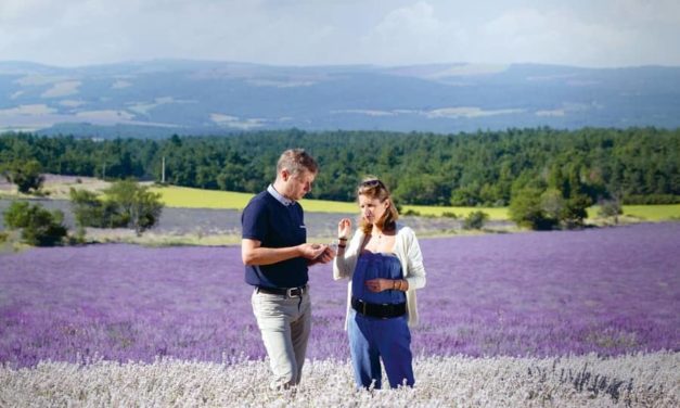 Symrise partners CRIEPPAM in Lavender farming study