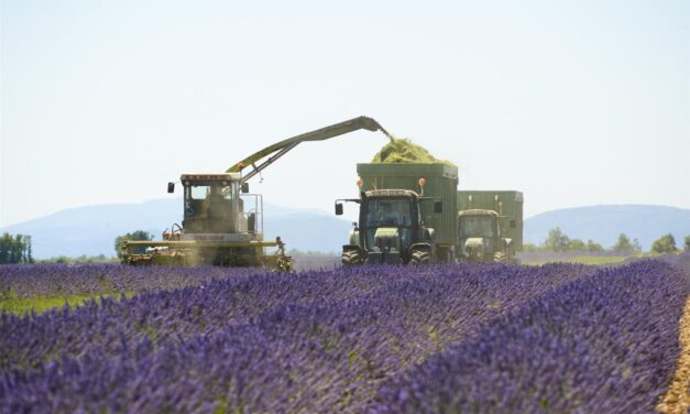 Fragrance Major Firmenich inks deal with Co-operative