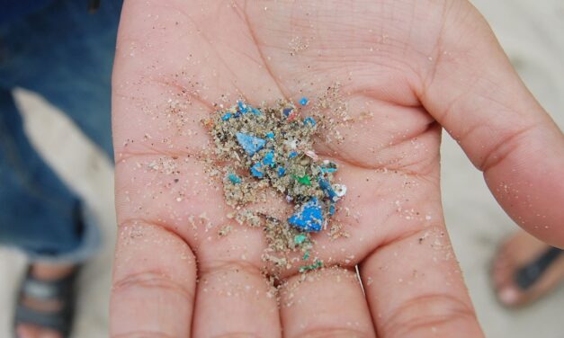 EU microplastic phaseout could prevent the release of 400,000 tonnes