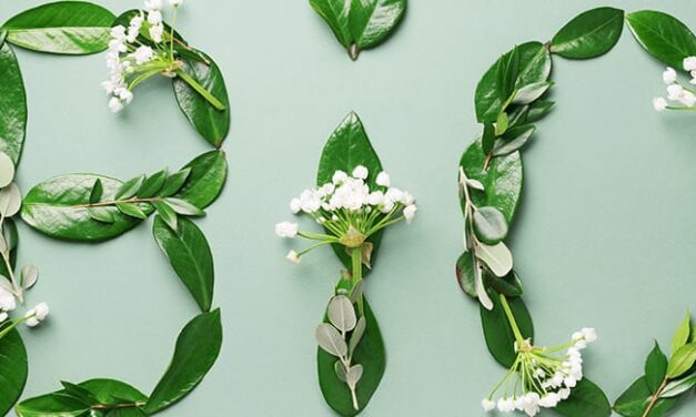 What do socially conscious consumers want from beauty and cosmetics products?