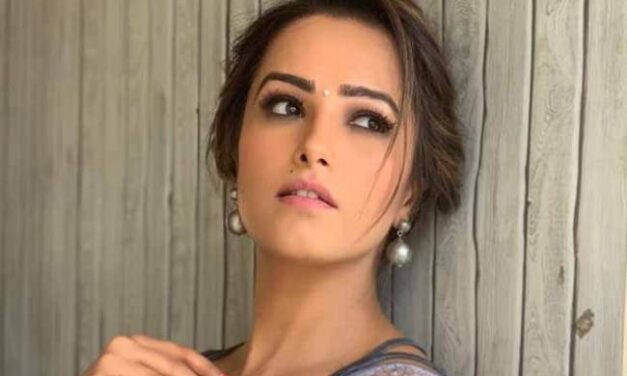 Actor Anita Hassanandani invests in Vanity Wagon