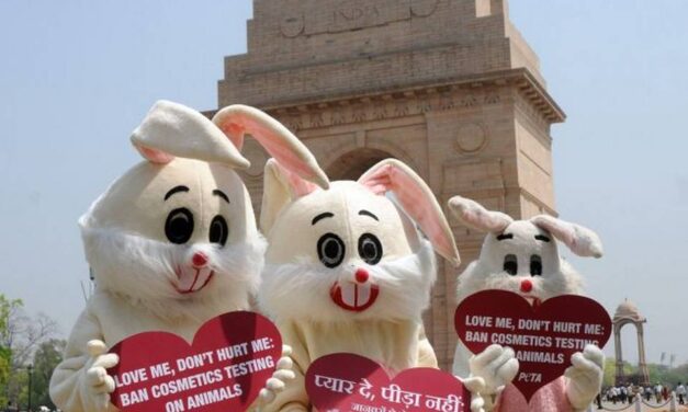 India enforces a stringent ban on animal-tested cosmetics