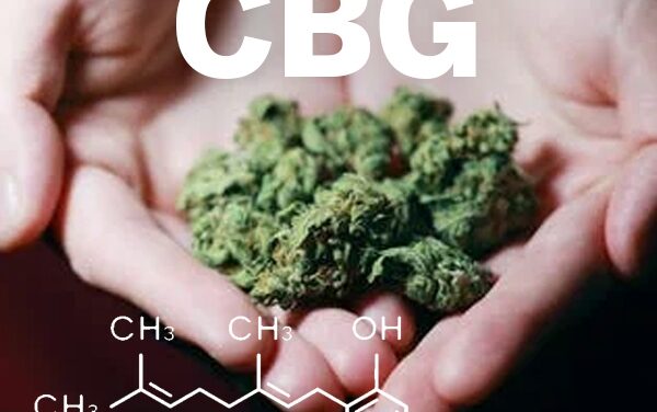 EU legalizes CBG as ingredient for skin care