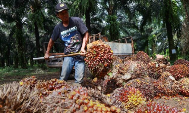 FMCG products including soaps expected to get costlier