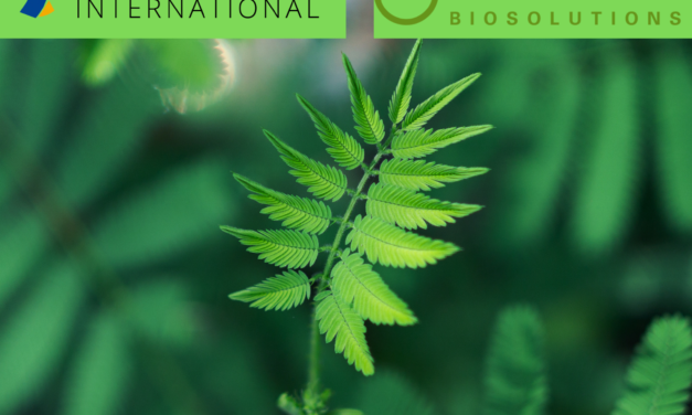 French Company Berkem Partners with Indchem International for Distribution in India