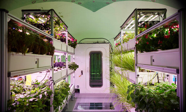 DSM-Firmenich partners Interstellar Lab to Revolutionize Perfumery Ingredient Development