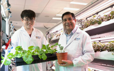 NERI and L’Oréal Singapore Collaborate for Greener Crop Cultivation