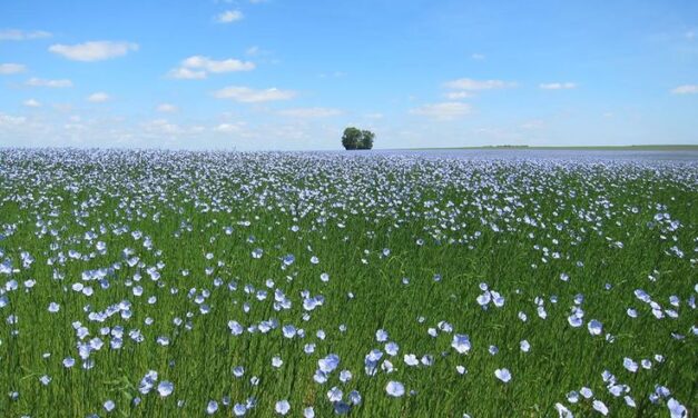 Expanscience Launches Gaïaline® underscoring sustainability