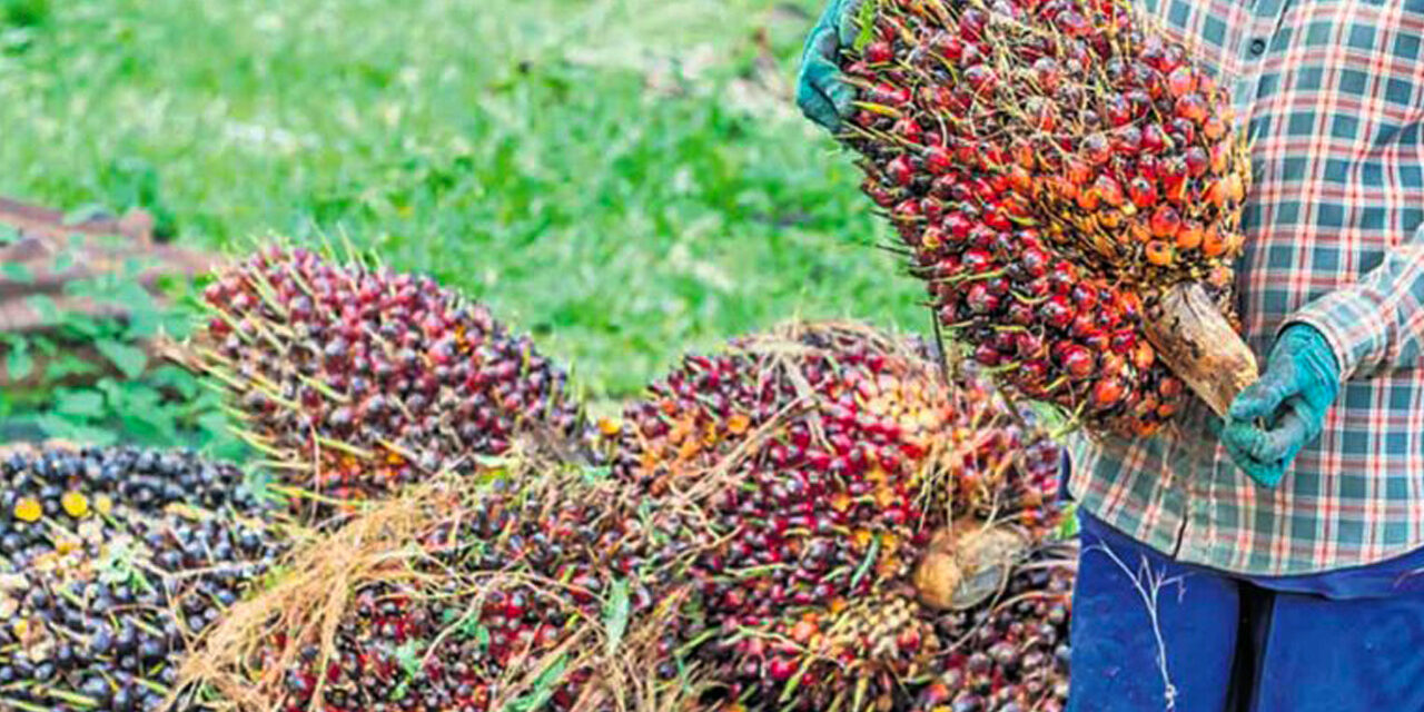 Hindustan Unilever Reduces Palm Oil Consumption with Stratos Innovation