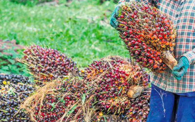 Hindustan Unilever Reduces Palm Oil Consumption with Stratos Innovation