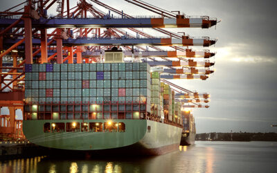 India’s Anti-Dumping Duties Reshape Cosmetic Supply Chains