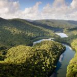IFF and Reservas Votorantim announce bioprospecting partnership in Brazil’s Atlantic Forest for sustainable fragrance innovation