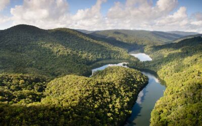 IFF and Reservas Votorantim Forge Bioprospecting Partnership