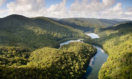 IFF and Reservas Votorantim Forge Bioprospecting Partnership