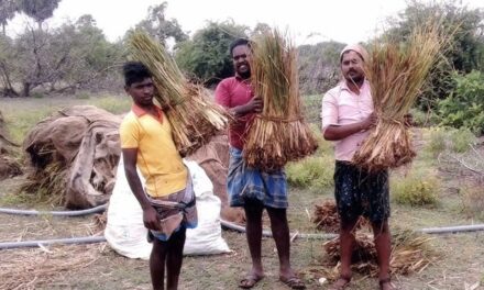 Aroma Mission: India’s Fragrant Revival, Rooted in Soil and Soul